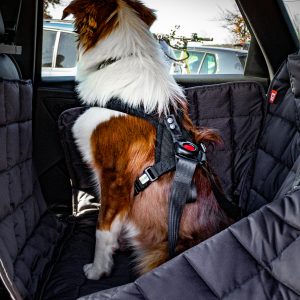 Isofixhalterung für sichere Befestigung von DoggySafe Hundesitz im