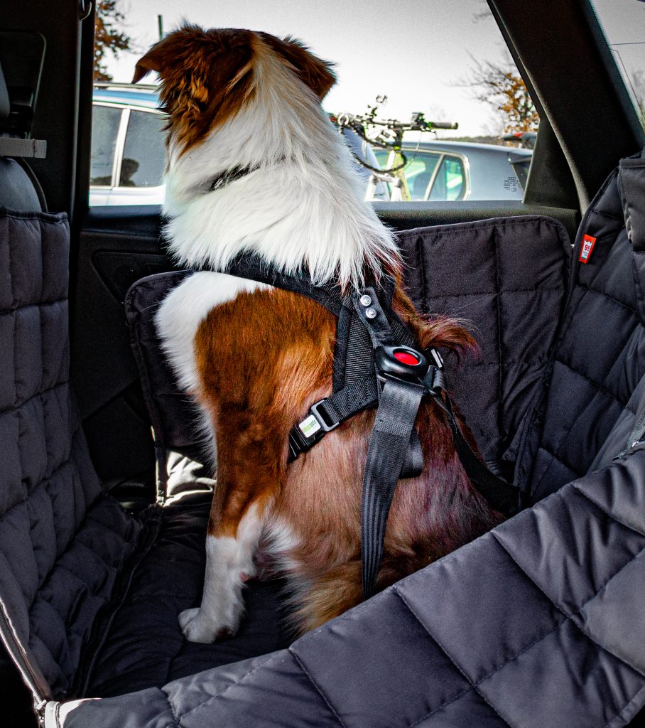 Hunde Autodecke Schutzbezug Fliessdecke für Tesla u. Andere