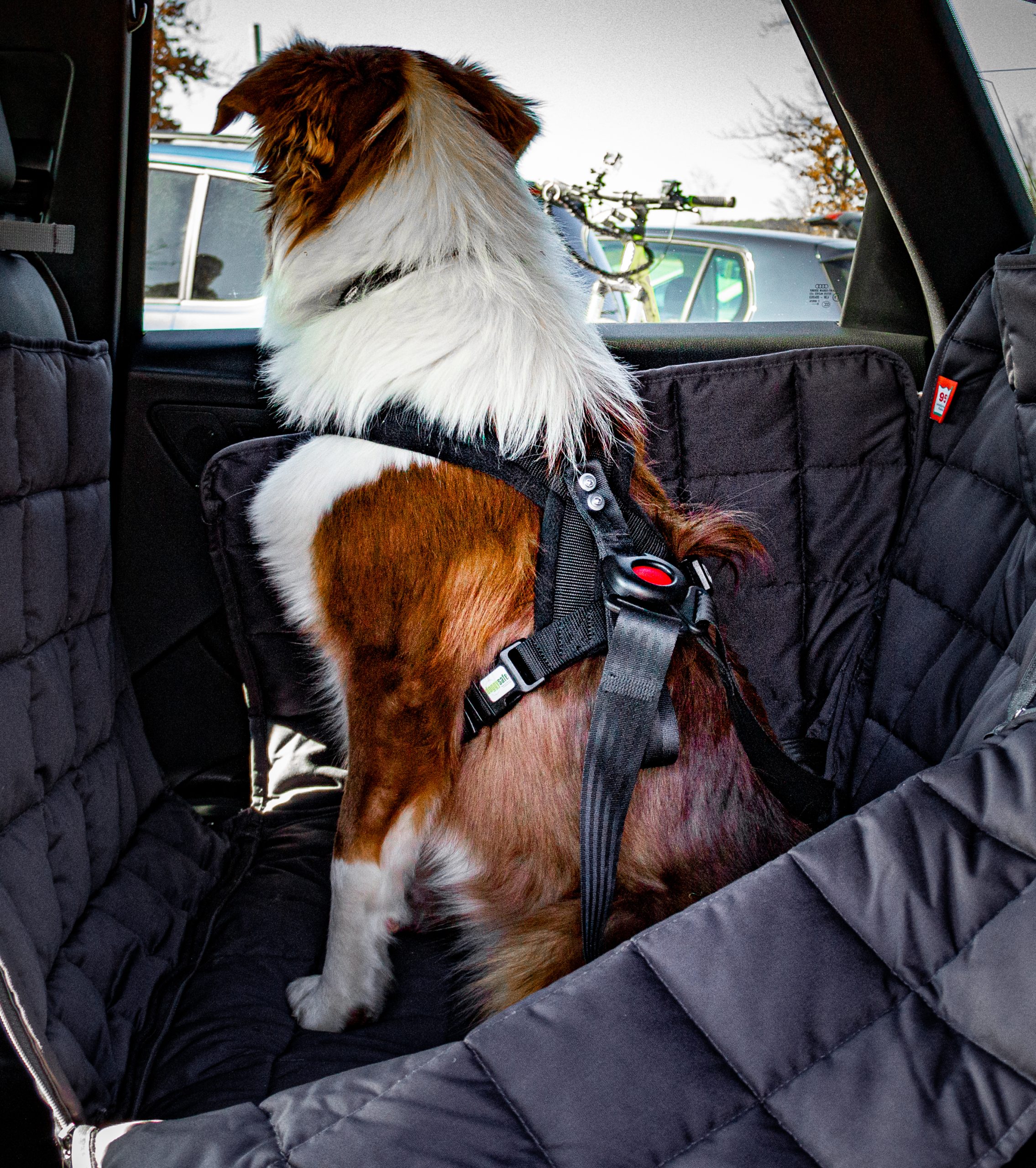 Hundesicherheit im Auto - Einfach realisiert mit DOGSTYLER®