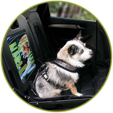 Universal Hunde Sicherheitsgurt fürs Auto - passend für alle Hunderassen