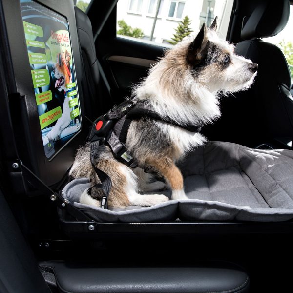 DoggySafe - Hunde Autositz für kleine Hunde - im Auto eingebaut