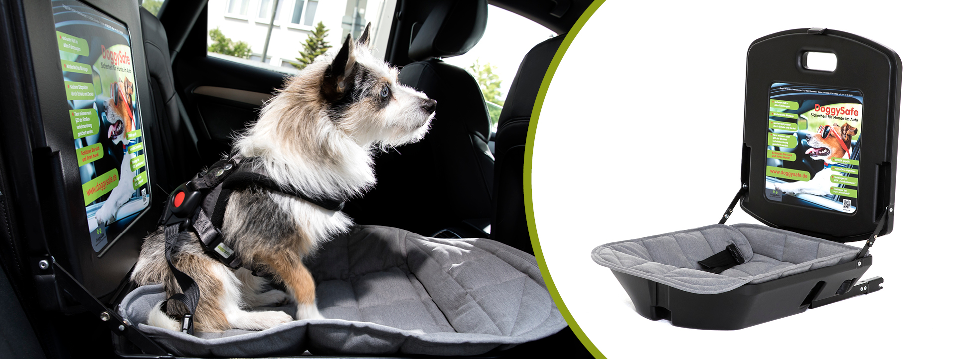 Der sichere Hundesitz im Auto für kleine Hunde DoggySafe