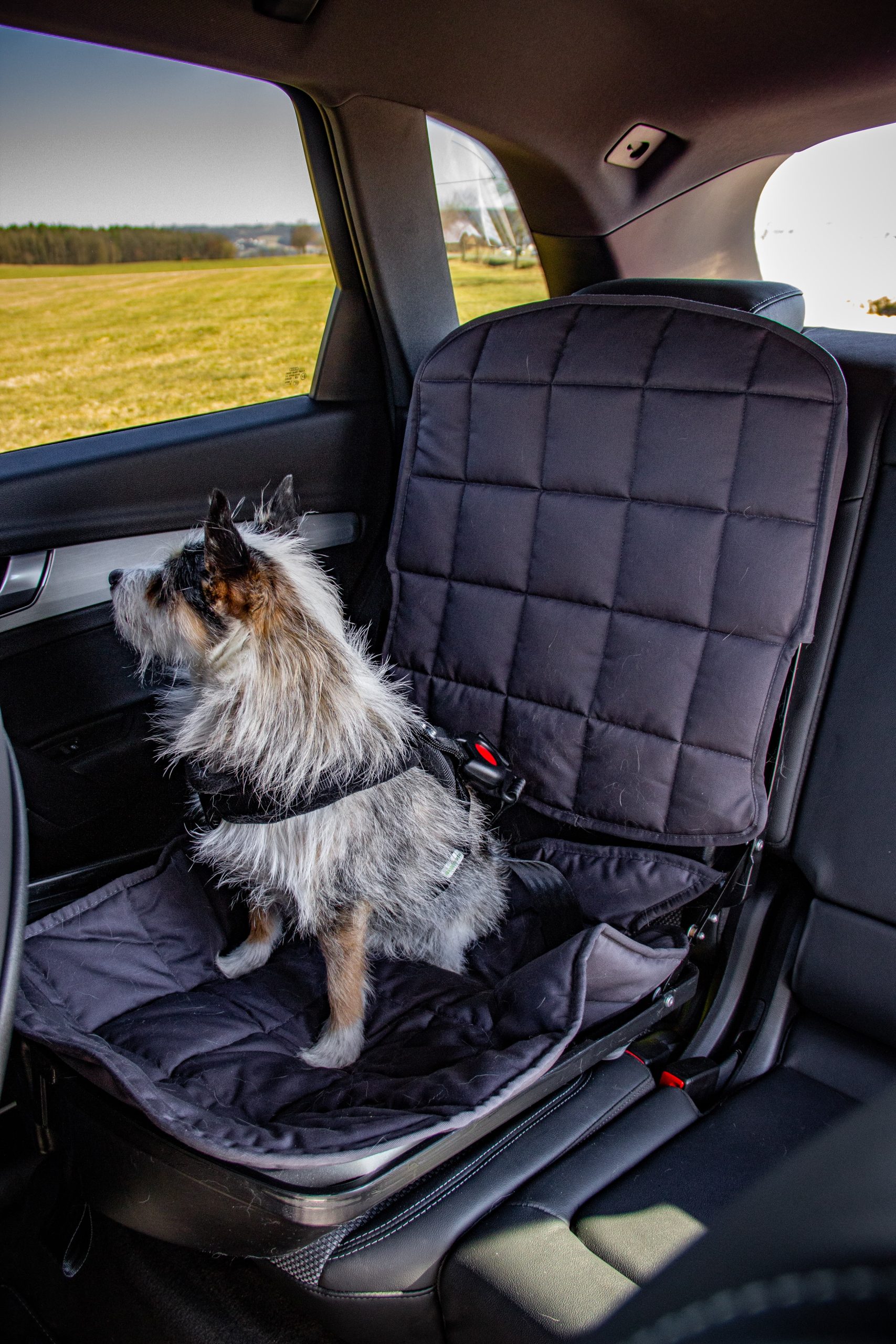 Hunde Autositz mit Sicherheitsgurt - das Original