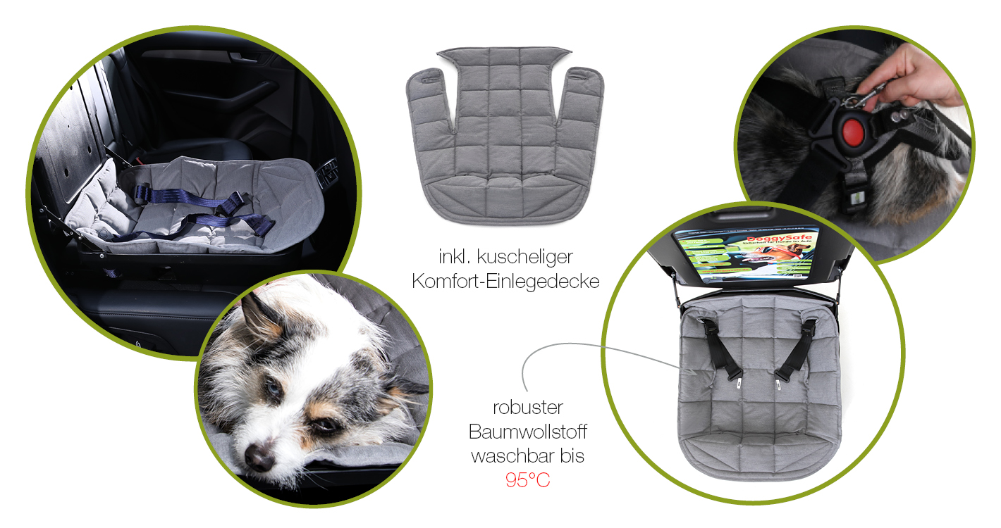 doggy-safe-einlegedecke-V3 doggy-safe-einlegedecke-V3