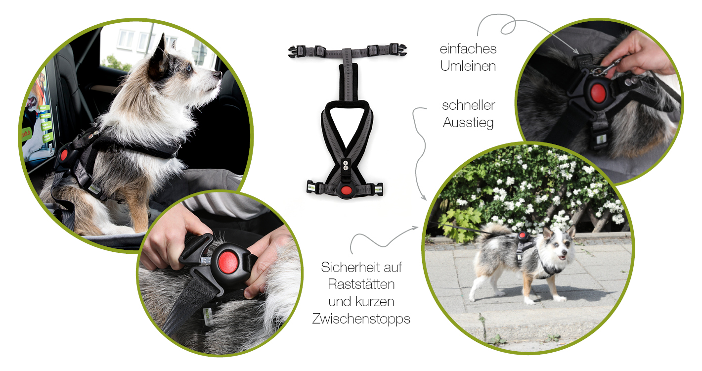 DoggySafe - Sicherheitsgurtsystem für kleine Hunde - Benutzeranleitung