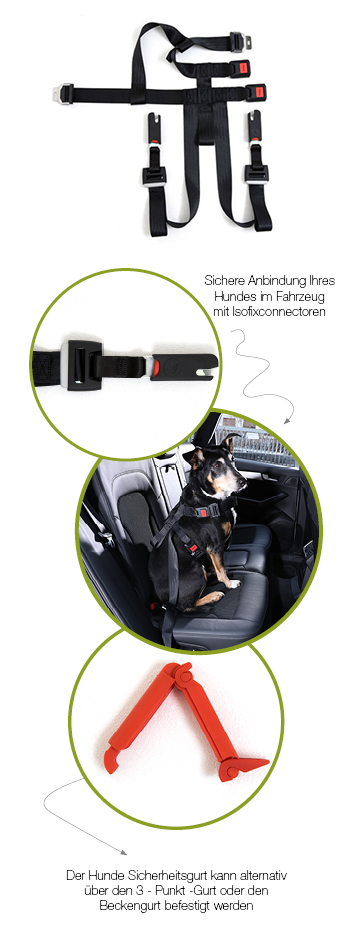 DoggySafe - Hunde Sicherheitsgurt Set