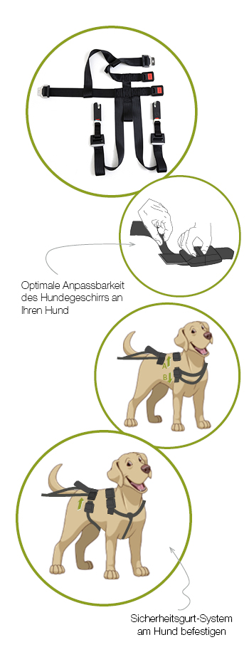 DoggySafe - Hunde Sicherheitsgurt - Benutzeranleitung